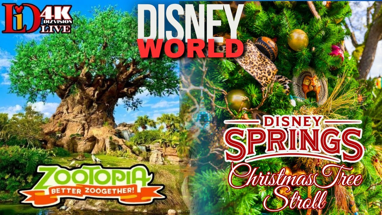 Animal Kingdom Adventures & Disney Springs delight! | Living in Diz LIVE Zootopia Show, Safari!