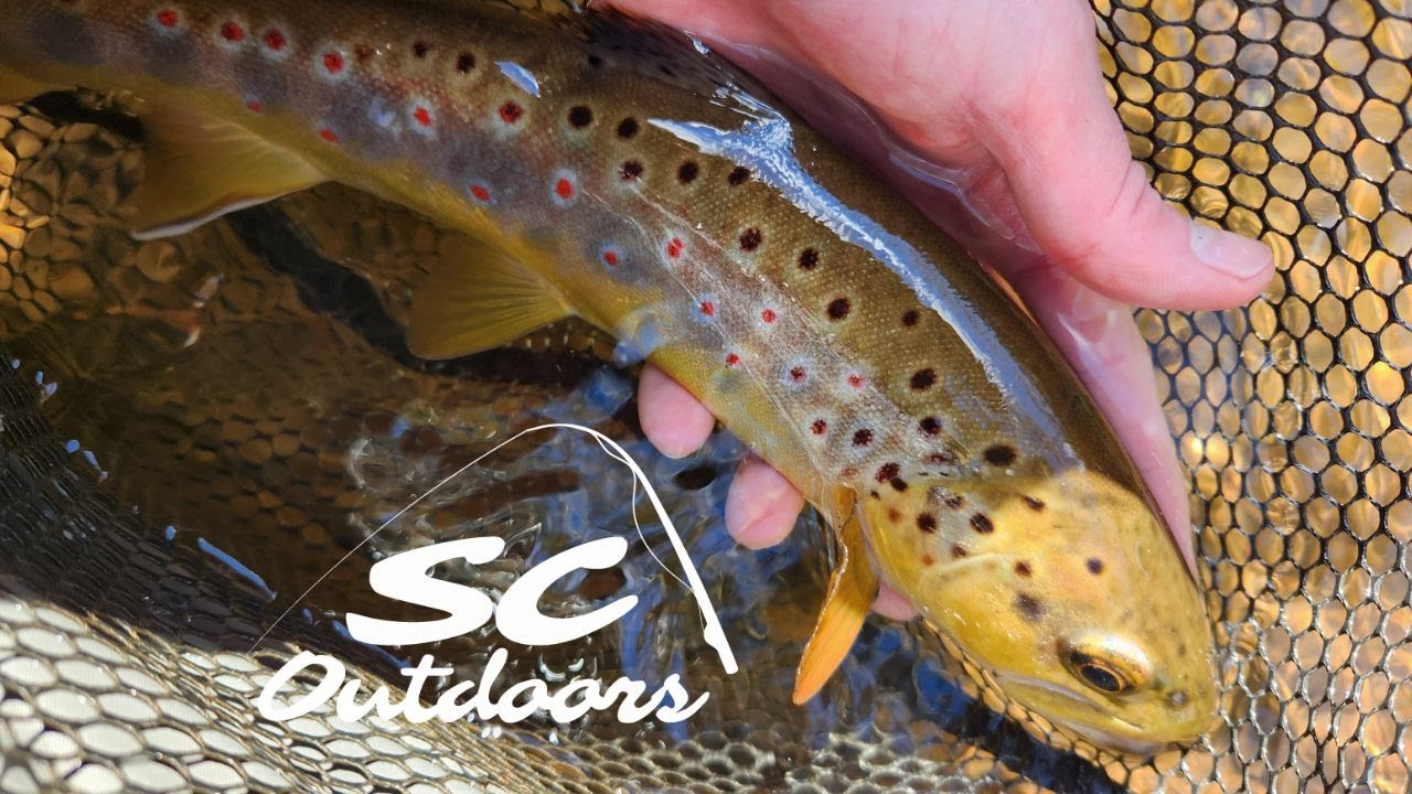 Perfect Late Winter Day Chasing Wild Browns - Fly Fishing PA