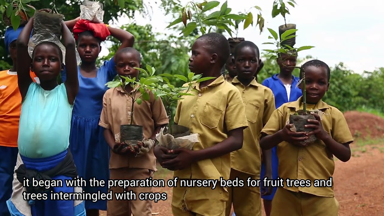 SAPMP transforming rural lives in Nyiramageni through increased agricultural productivity and improv