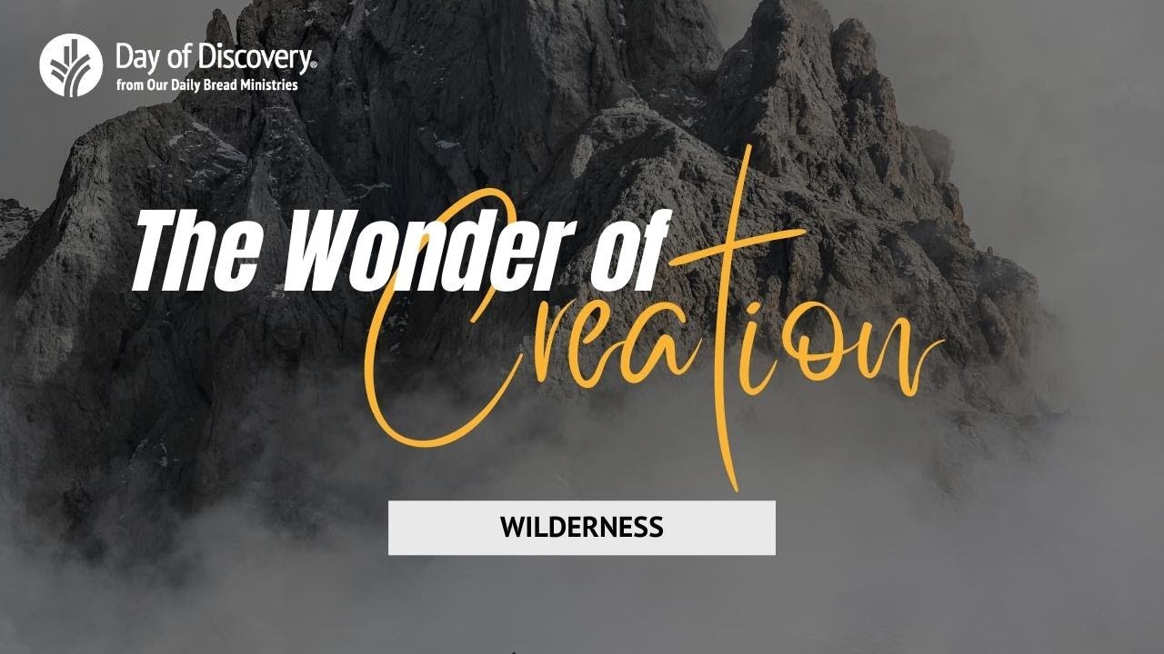 The Wonder of Creation: Wilderness | A Day of Discovery series presented by @ourdailybread