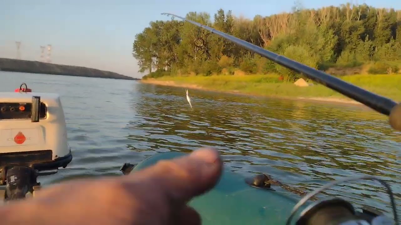 Relaxare la pescuit pe Dunăre (Borcea)