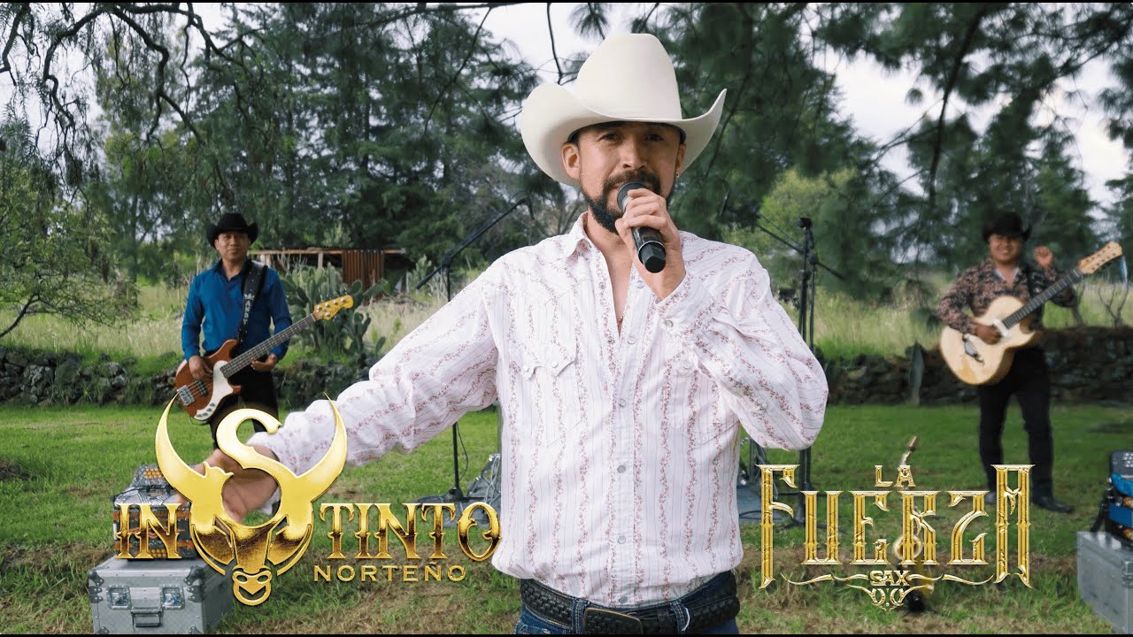 MIX RIELEROS - INSTINTO NORTE&Ntilde;O - LA FUERZA SAX