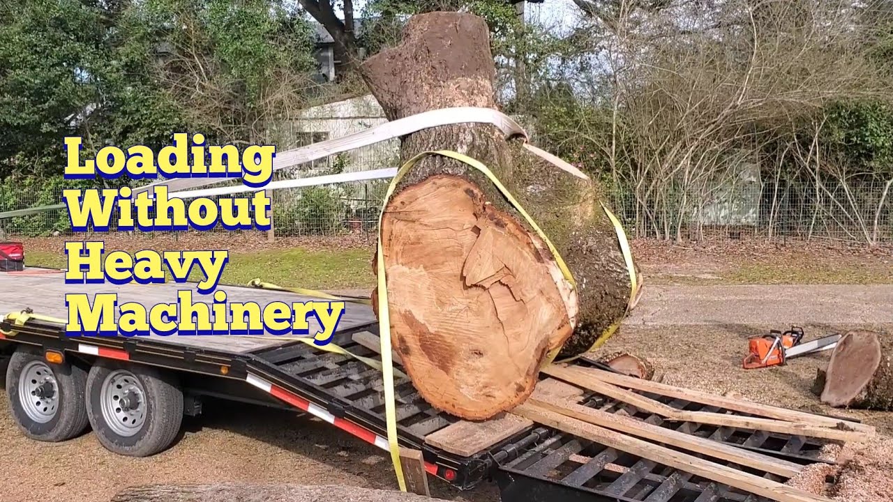 Loading an awkwardly huge Red Oak log onto trailer without heavy equipment