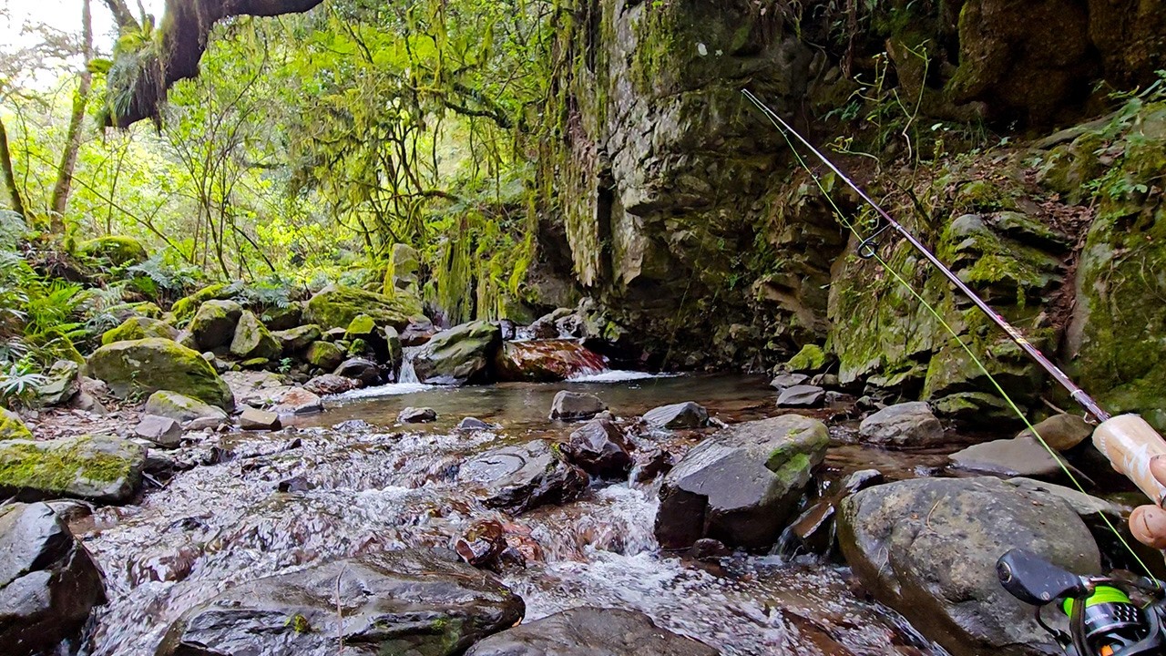 PESCA en HERMOSO ARROYITO OCULTO en la MONTAÑA 🐟