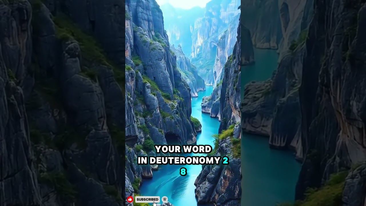 Powerful Prayer for Obedience🙏🕊  #prayer #godsword #obedience #godsplan #viral #trending #usashorts