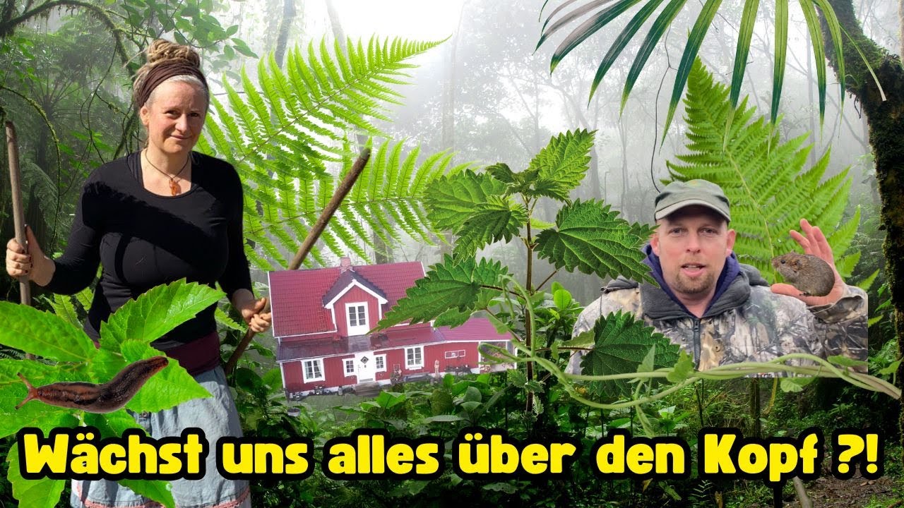 Unser Hof im Schwedensommer - Selbstversorger Paradies oder grüne Hölle?