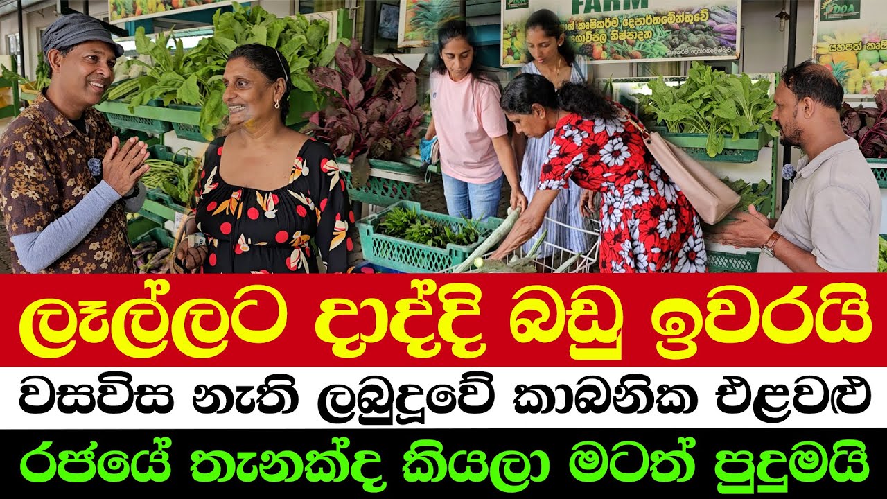 🌿 The Crazy Demand for Organic Veggies! | 🤔 Even the Government Is Surprised!