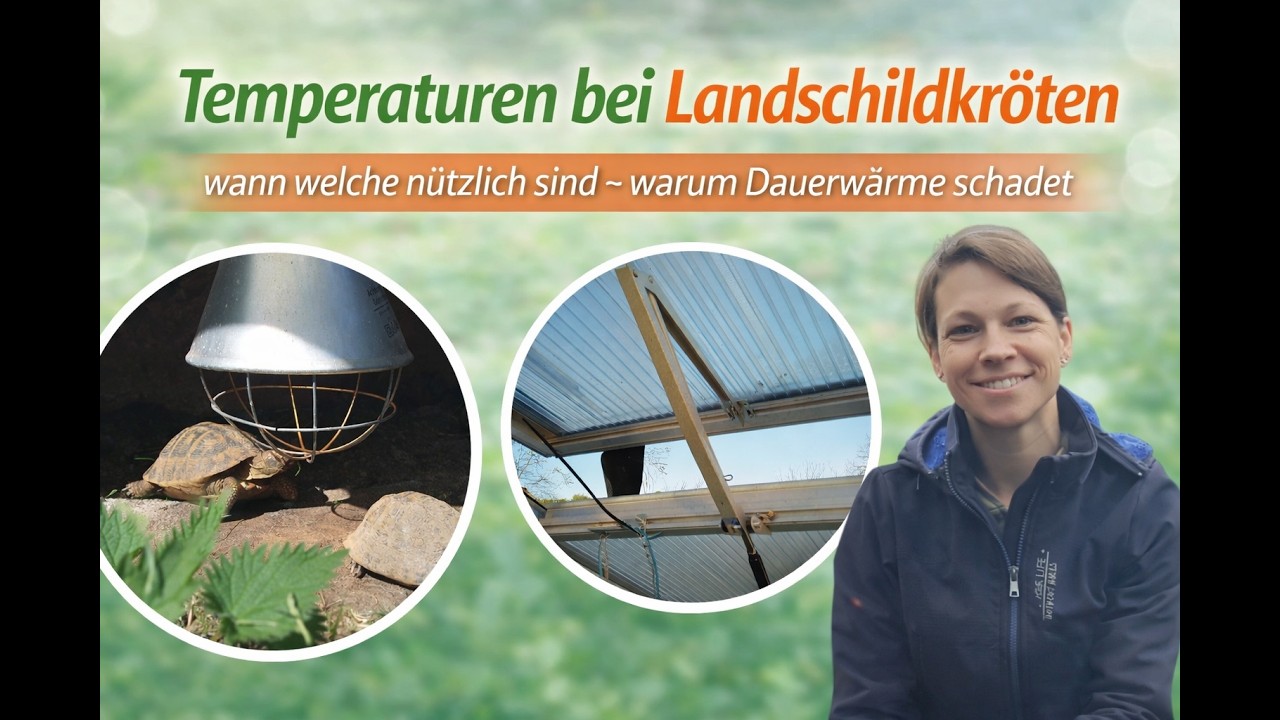 Die Sache mit den Temperaturen ...