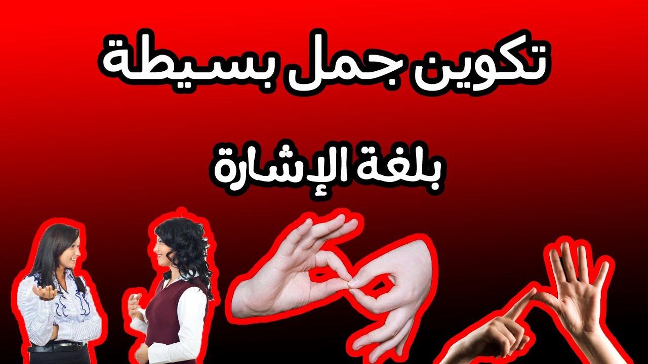 الدرس الحادي والأربعون: تكوين جمل بسيطة بلغة الإشارة
