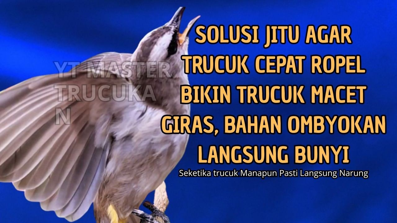Trucukan GACOR ngalas ROPEL PANJANG suara alam AMPUH buat pancingan jadikan trucuk Gacor GARUDA