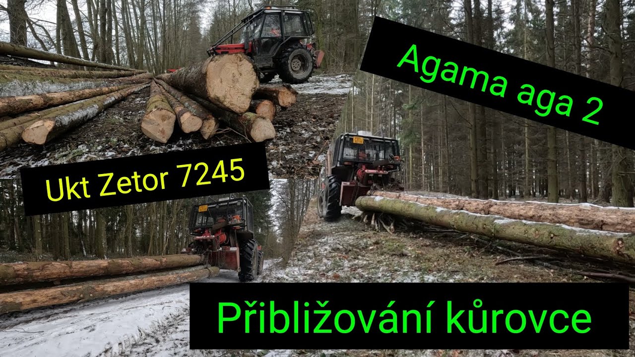 Přibližování dřeva, Ukt Zetor 7245, naviják Agama aga 2, Stihl Ms 440,@jpforest8882