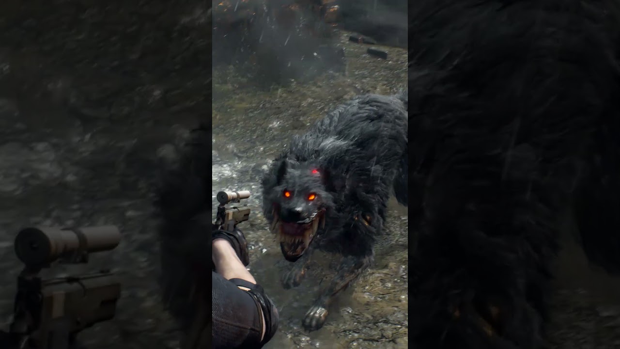 Killer7 (Max Level) vs Wild Dog (A Savage Mutt) - Resident Evil 4 Remake Professional