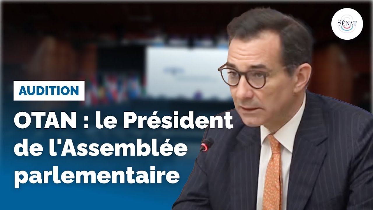 OTAN : audition du Pr&eacute;sident de l'Assembl&eacute;e parlementaire