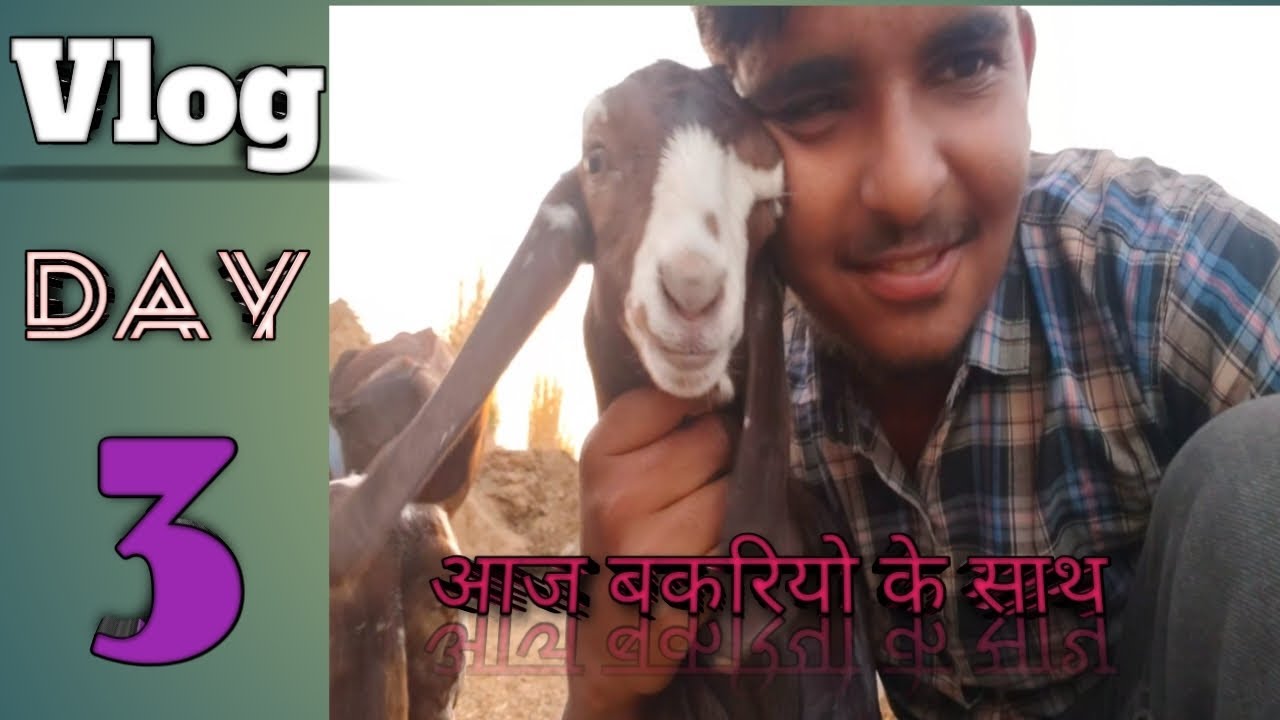 Today my new vlog || Deshi vlog  || village vlogs || farming vlogs @souravjvlogs @TechMasterAK 