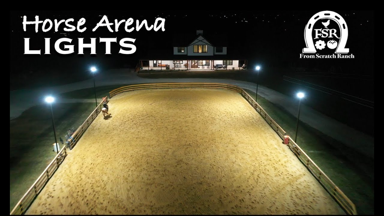 We Installed LED Sports Lights For Our Horse Arena