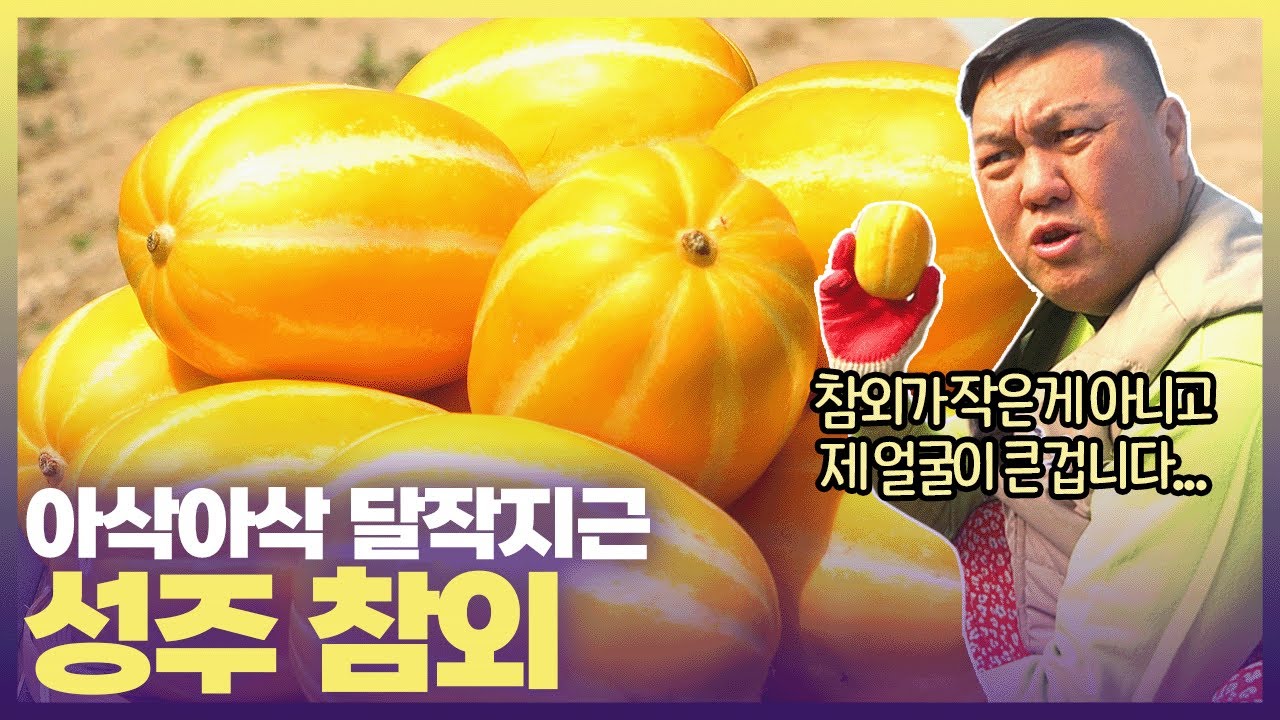 성주 참외가 대한민국 1등 참외인 이유 알려드림👍🏻 #6시내고향 #홍보장사만만세 #성주