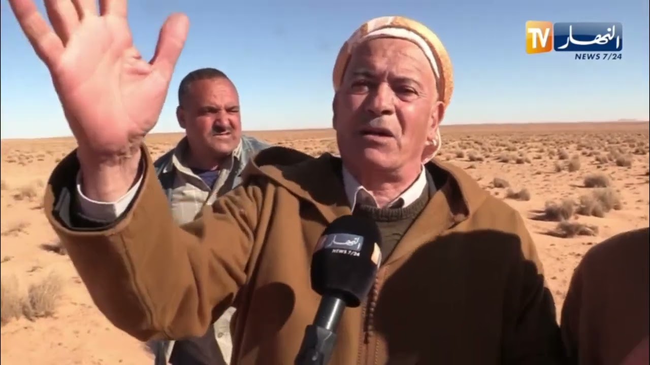 تيارت:  كراء المحميات الرعوية.. ملاذ الموالين للتخفيف من معاناة شراء الأعلاف