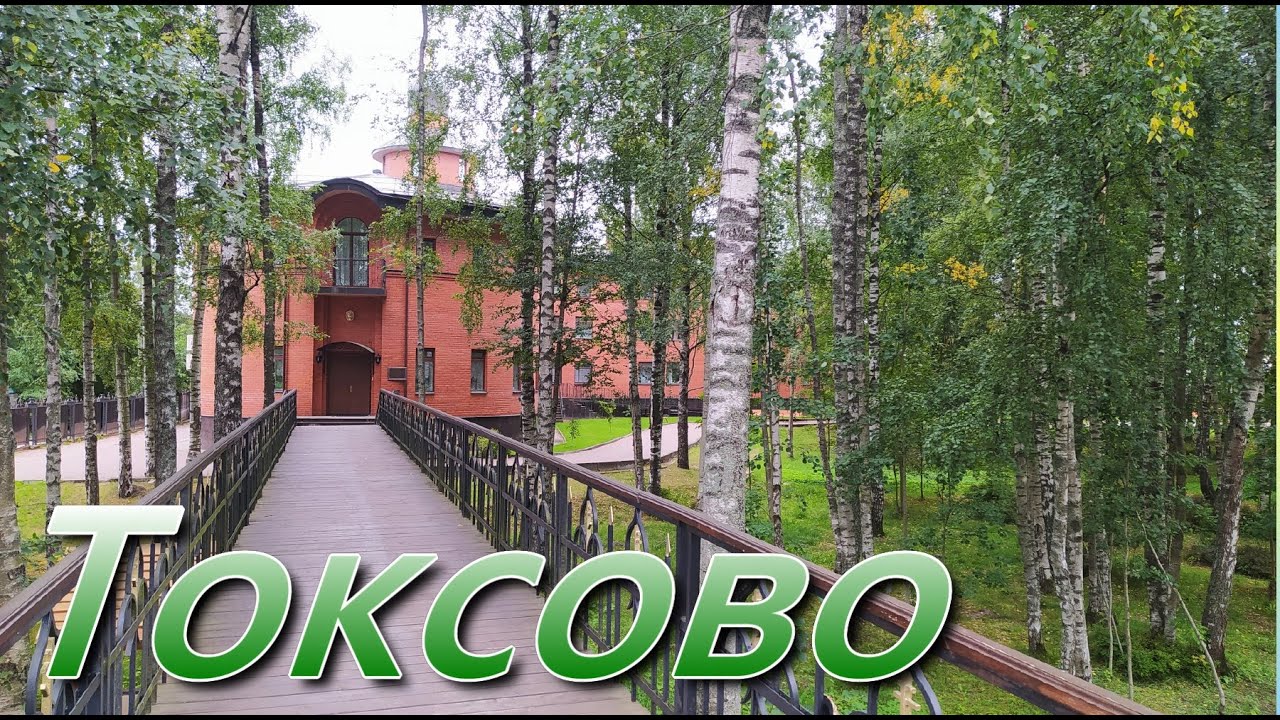 Зачем ехать в Токсово