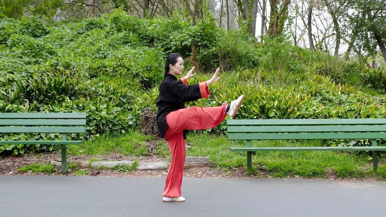 Yang-Style Tai Chi Traditional Long Form – Full Front View Demonstration | 楊式太極拳傳統85式 全套正面演練