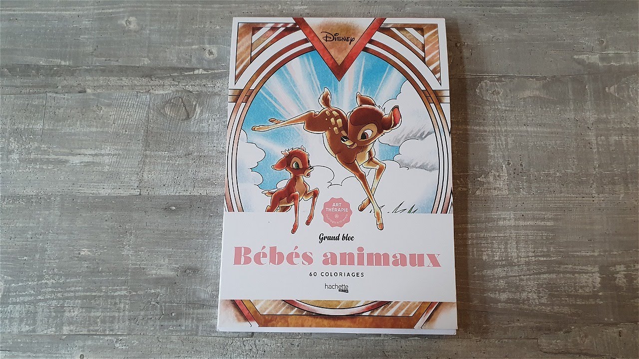 Disney Grand bloc Bébés animaux flipthrough