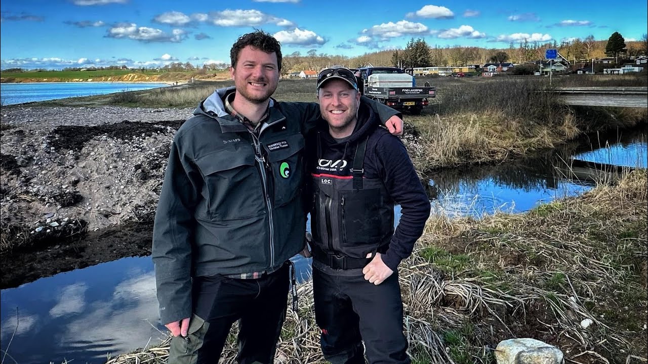 Sjøørretfiske - Jakten På Sjøørreten skal tilbake - Glimt av Fyn 🇩🇰 «Om Havørred Fyn» Seatrout Fyn
