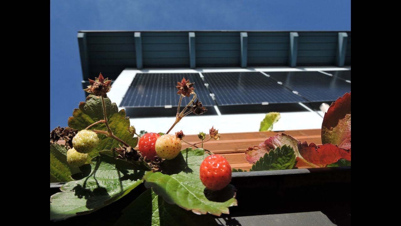 Unplugged - ganzj&auml;hrige Eigenversorgung