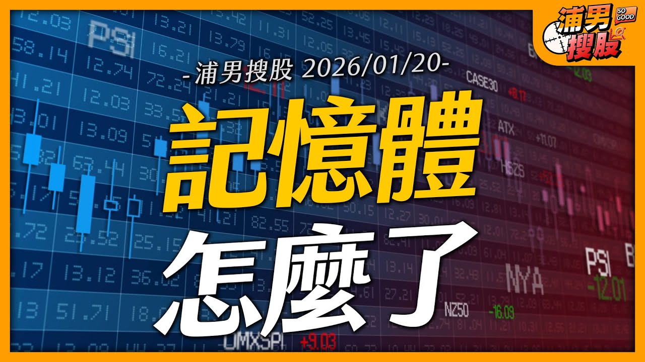 記憶體怎麼了｜【浦男搜股】EP.227