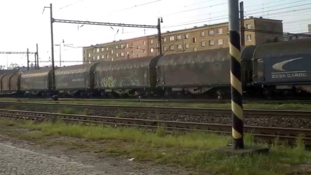 Ucelen&aacute; s&uacute;prava vozňov Rils+Shimns