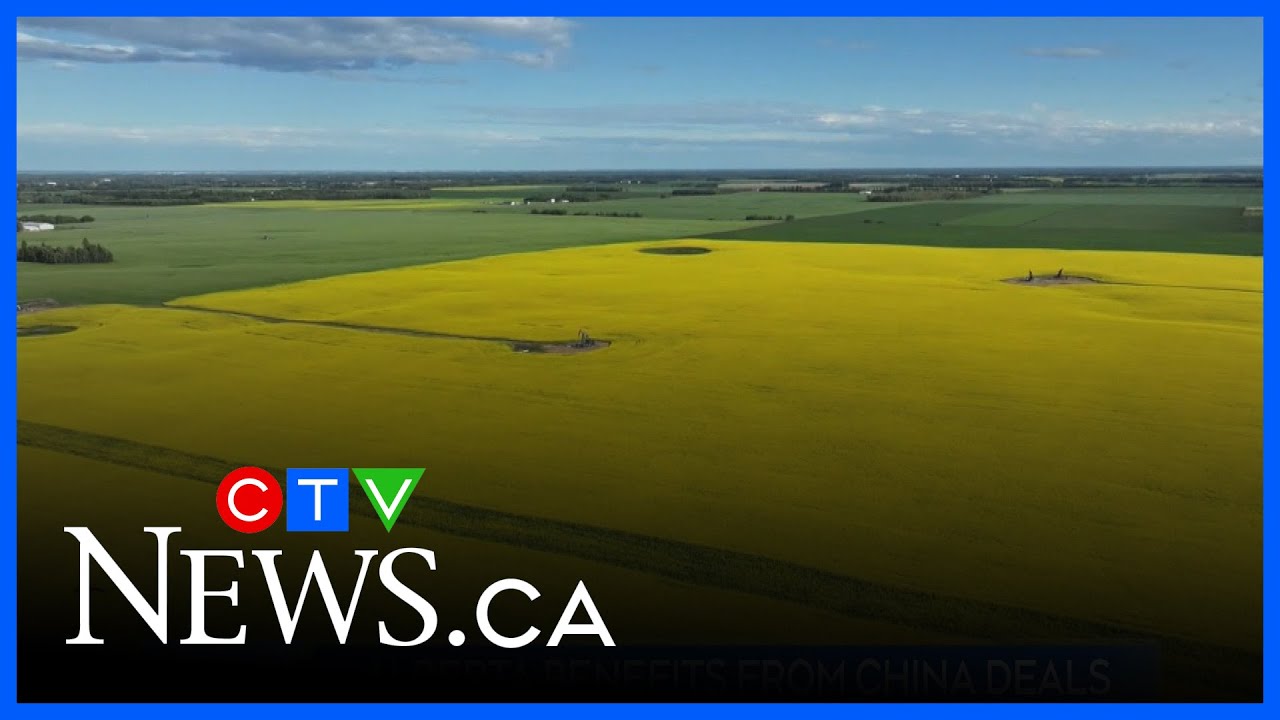 Alberta farmers will be 'winners' in China trade deal: analyst | Alberta Primetime