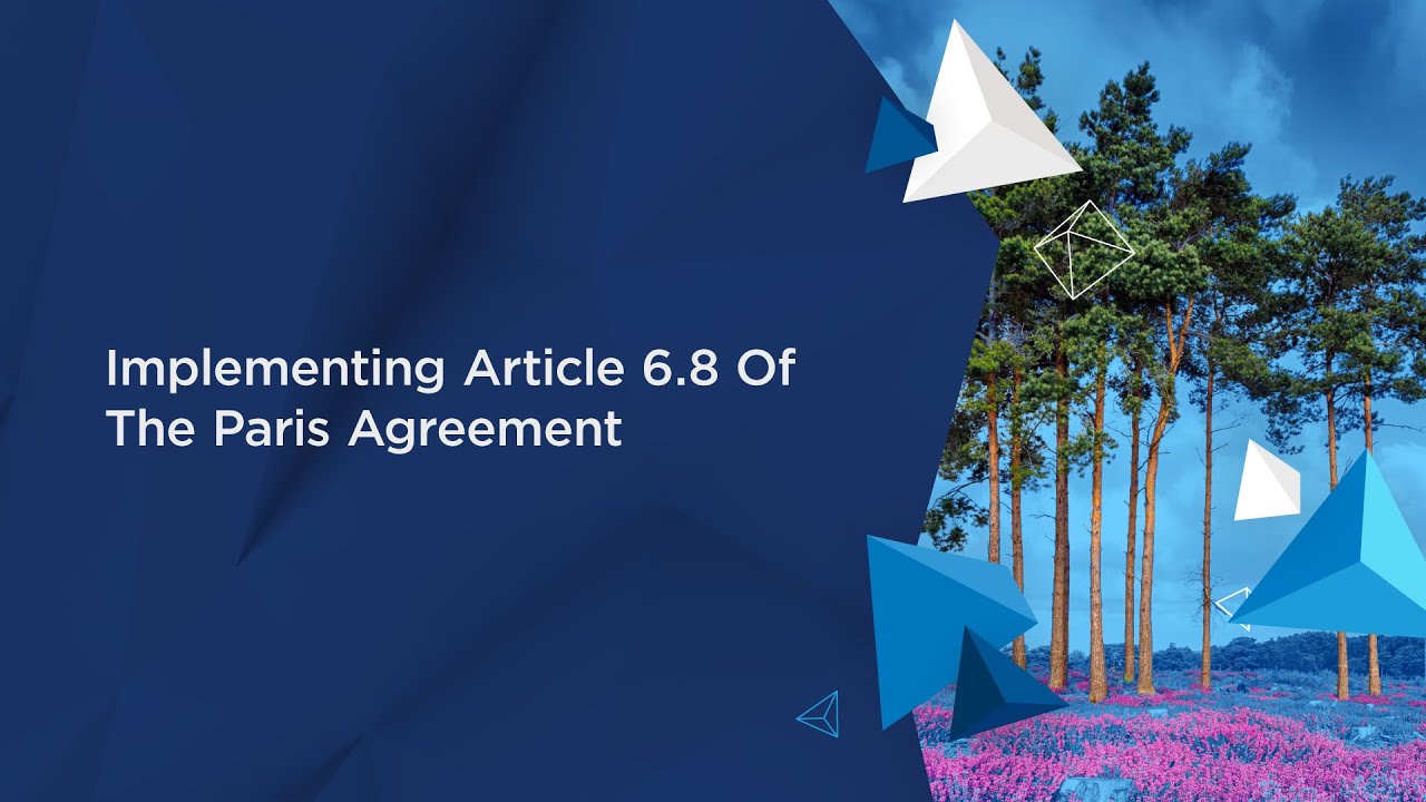 I4C 2023: Implementing Article 6.8 of the Paris Agreement