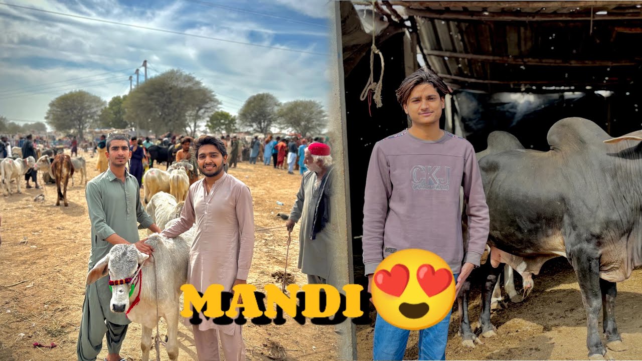 Aaj ham gye mandi😍