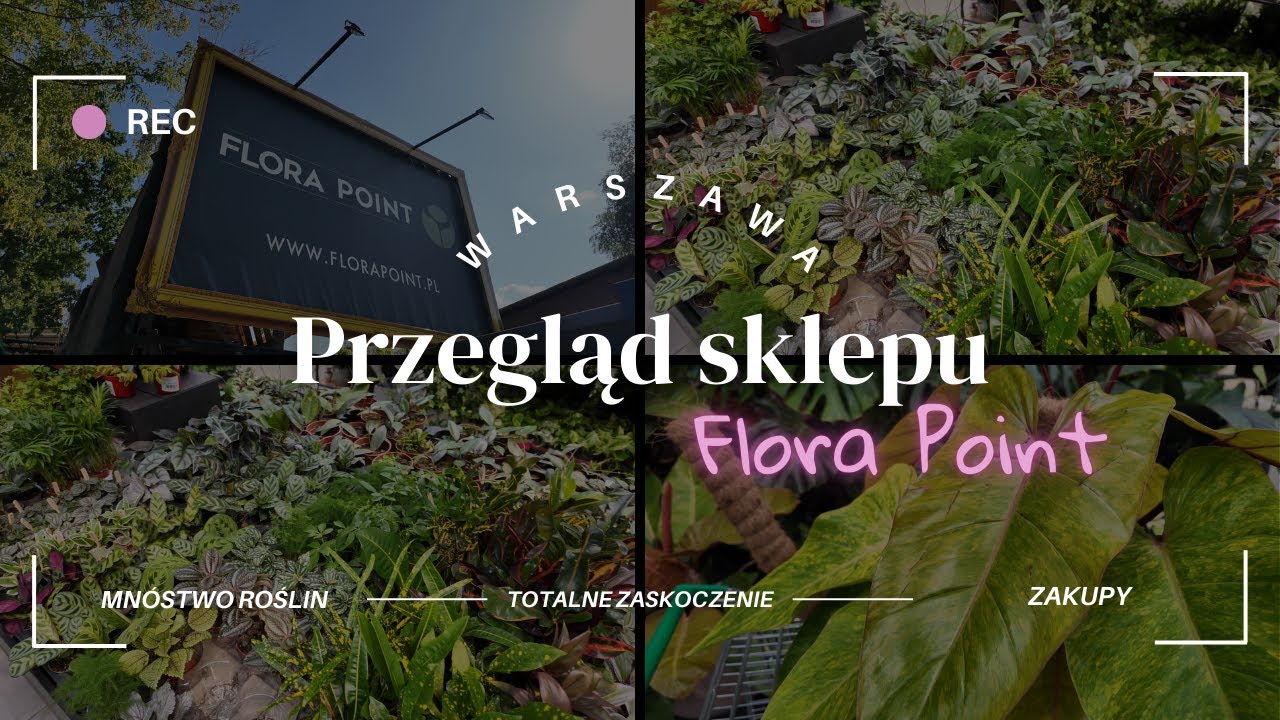🌸 PRZEGLĄD SKLEPU FLORA POINT W WARSZAWIE🌳KOMPLETNIE LUŹNY SPACER I NOWE ROŚLINKI🪴CZY WARTO?