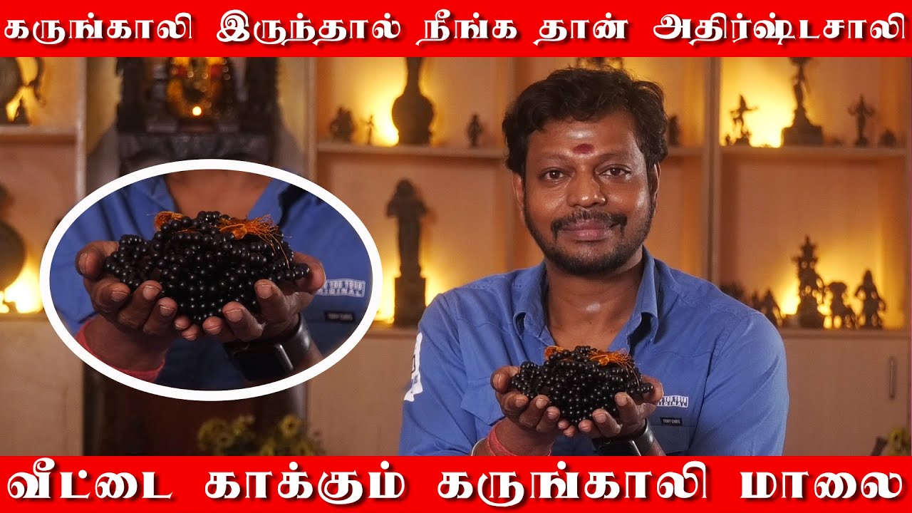 கருங்காலி மாலை இருந்தால் நீங்க தான் அதிர்ஷ்டசாலி | வீட்டை காக்கும் கருங்காலி மாலை