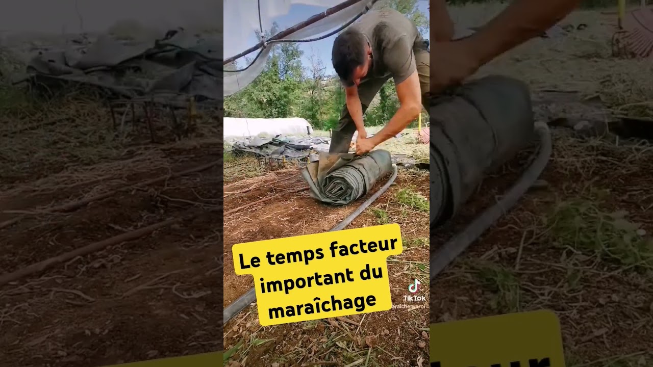 Gagner du temps en Maraichage bio intensif - La m&eacute;thode qui va changer votre vie