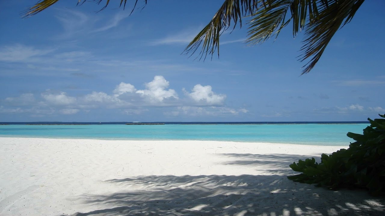 Mediation Music Carribean Feeling