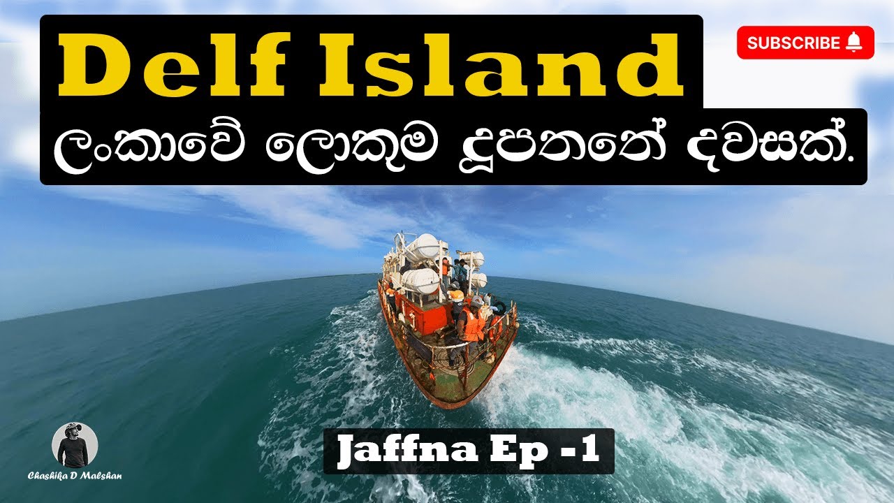 Delft Island | The Most Remote Village In Sri Lanka  ඩෙල්ෆ් දූපත | Travel Sri Lanka - Episode 1