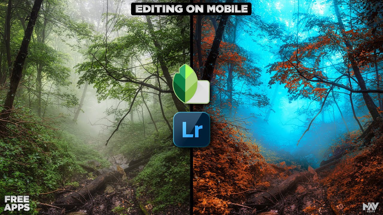 Create DRAMATIC COLOR EFFECTS in SNAPSEED and LIGHTROOM MOBILE (free apps) | Android | iPhone