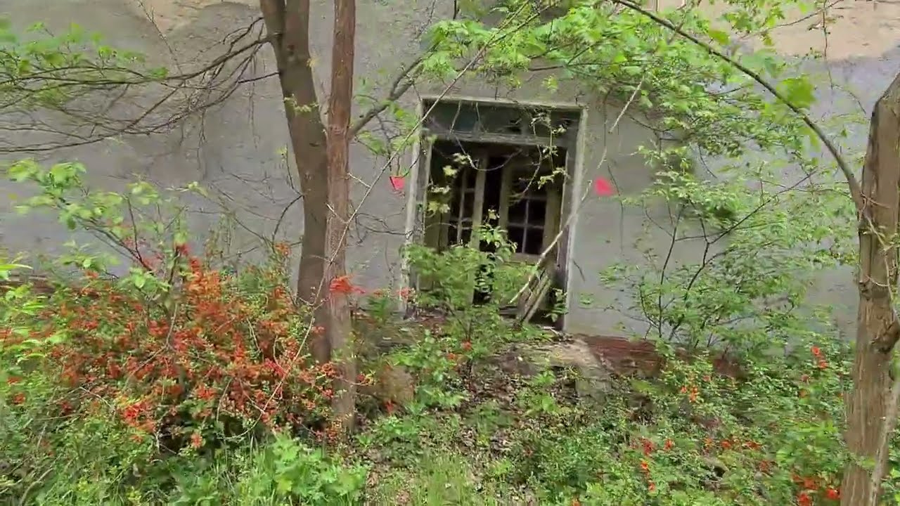 💥Новый Планкен. Магдебургский полигон. ГСВГ. Германия. Planken. Deutschland. 2023