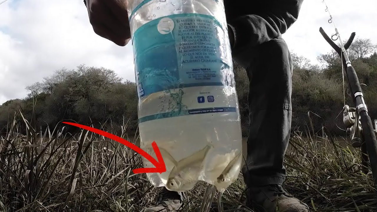 Pescando MOJARRAS CON UNA BOTELLA en algún lugar al NORTE de URUGUAY