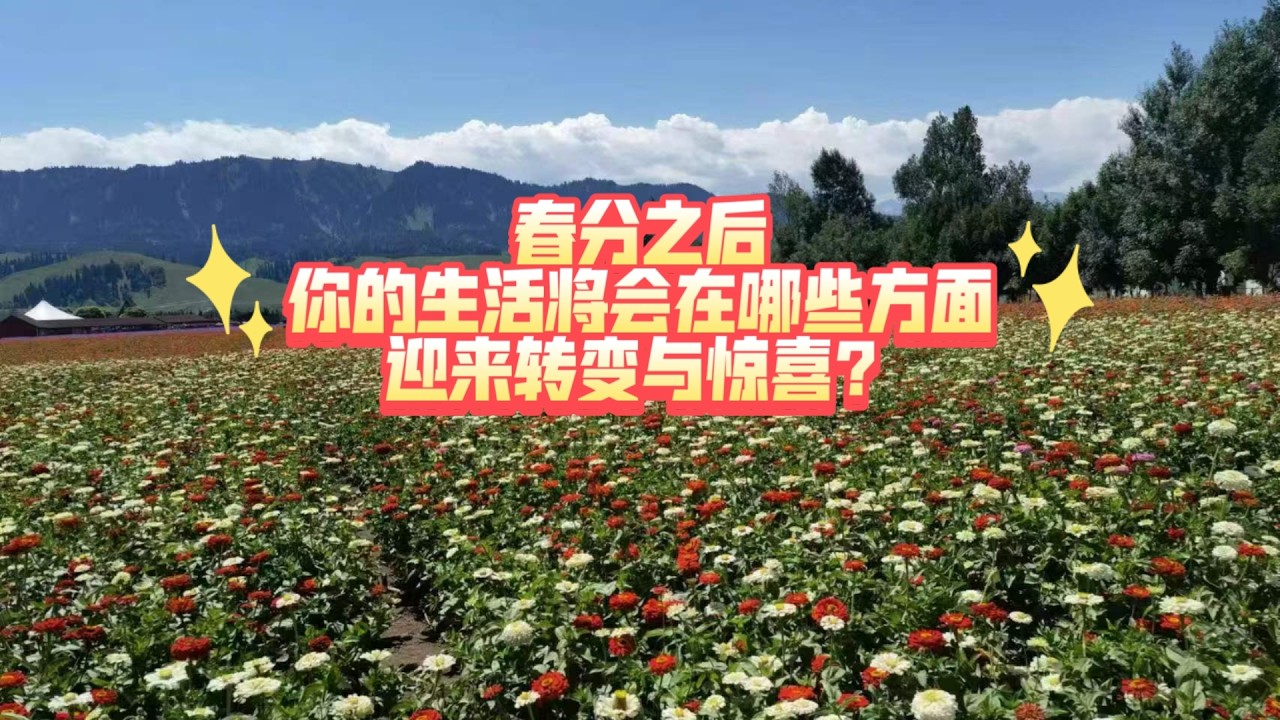 春分之后，你的中国将在哪些方面迎来转变与惊喜？（2026年3月20号之后）