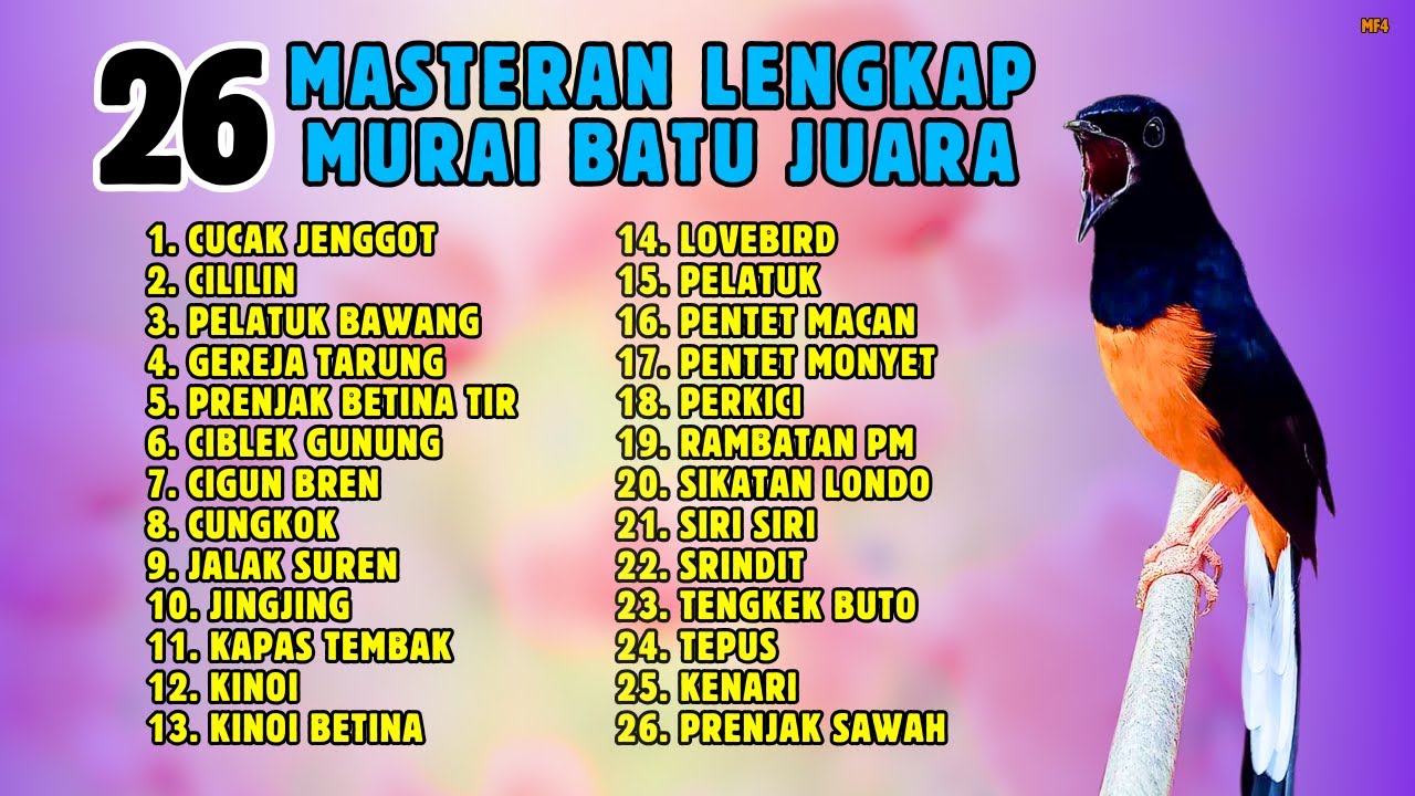🔴 FULL MASTERAN LENGKAP MURAI BATU GACOR MATERI MEWAH 26 ISIAN JUARA || 848