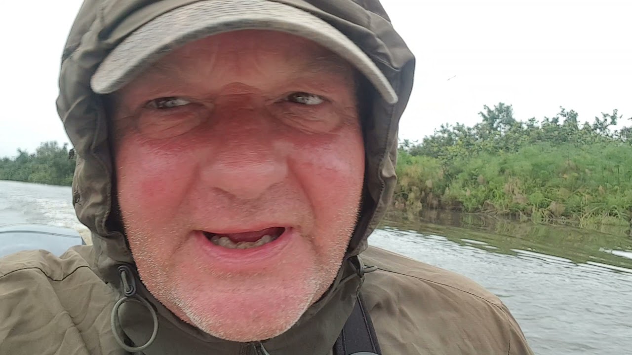 Tsetse fly attack - Luango, Gabon