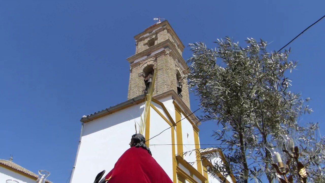 La Borriquita El Saucejo 2014