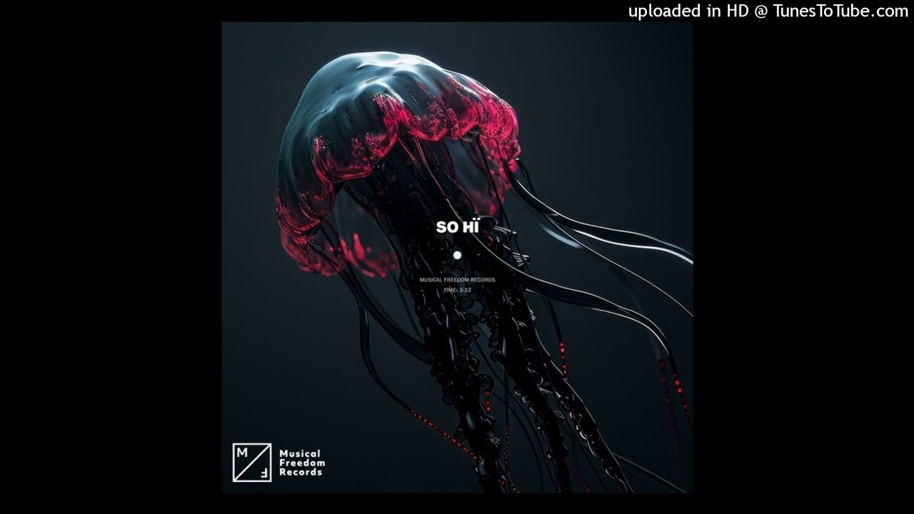 So hï (Jair sandoval & Brian solis remix)