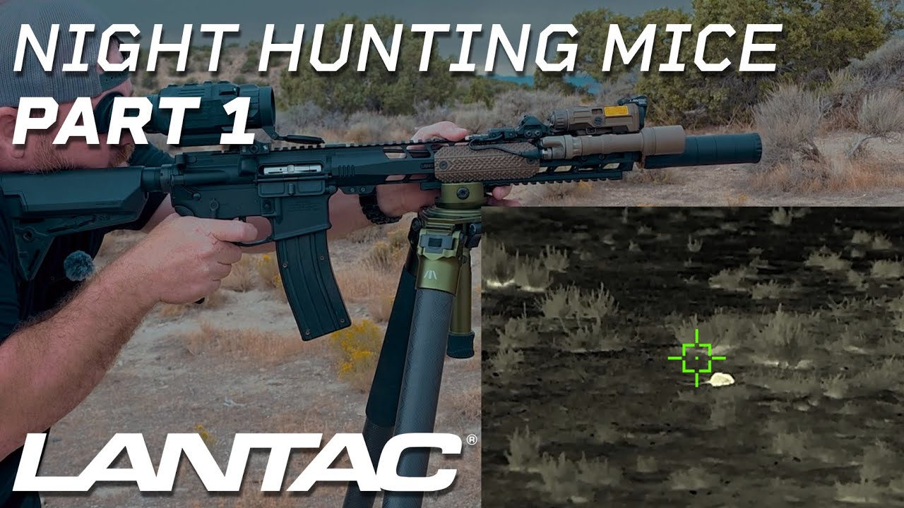 LANTAC Night Hunting Mice Part 1