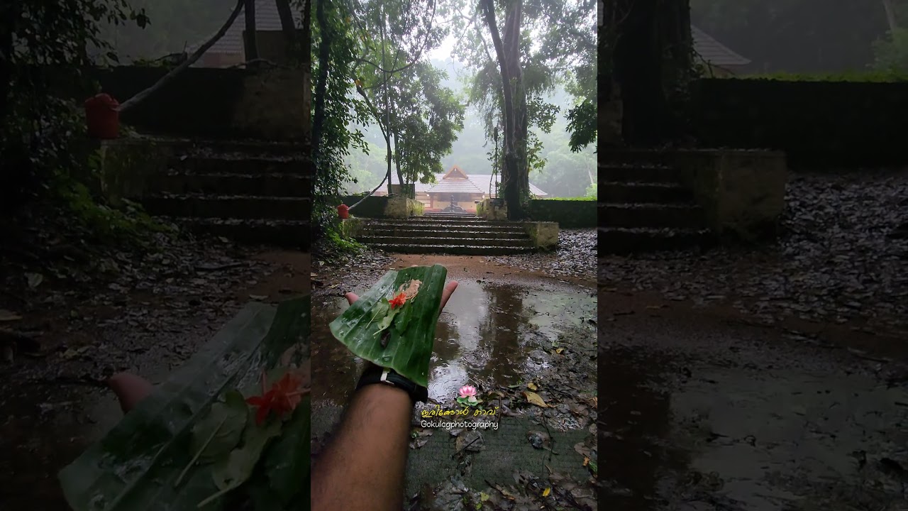 Discover the tranquility of Iringole Kavu #temple# shorts #culture #kerala  #keralatemple #temples