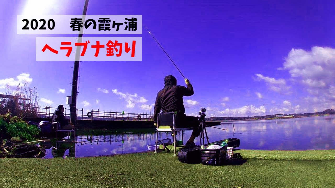 霞ヶ浦で春のヘラブナ釣り　クルージャン　グルテン　底釣り