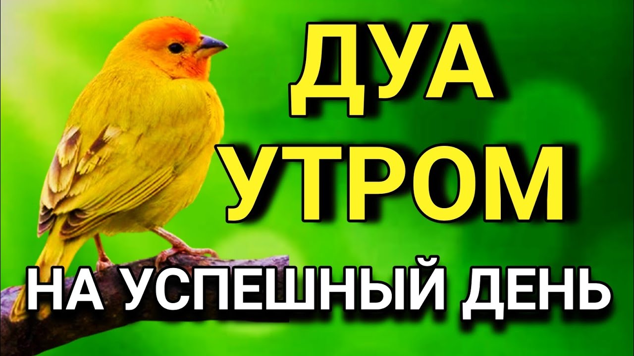 🌟💙 ДУА УТРОМ — НАЧНИ ДЕНЬ С АЛЛАХОМ   🌈🌹🔑💯