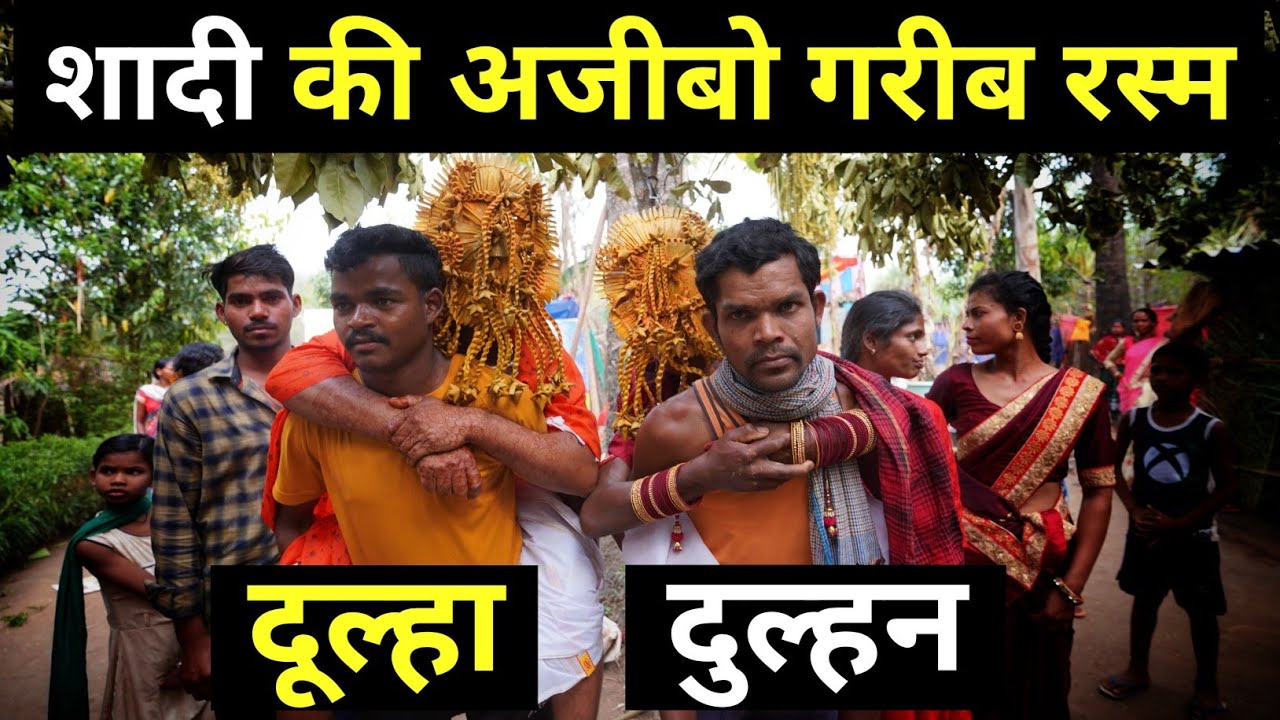 छत्तीसगढ़ की प्राचीन संस्कृति और परंपराओं का एक झलक :आदिवासी गीत & नृत्य | Bastar Chhattisgarh Dk808