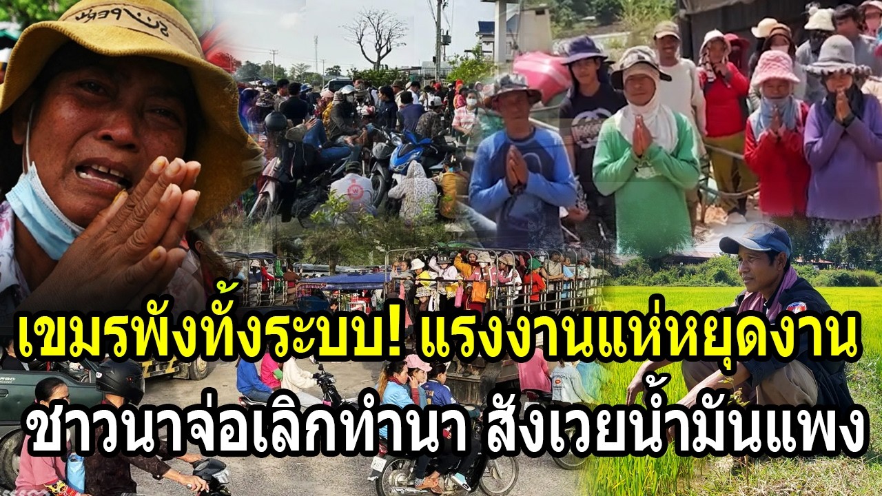 เขมรพังทั้งระบบ! แรงงานแห่หยุดงานประท้วง ชาวนาจ่อเลิกทำนา สังเวยพิษน้ำมันแพง
